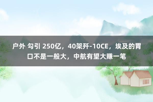 户外 勾引 250亿，40架歼-10CE，埃及的胃口不是一般大，中航有望大赚一笔