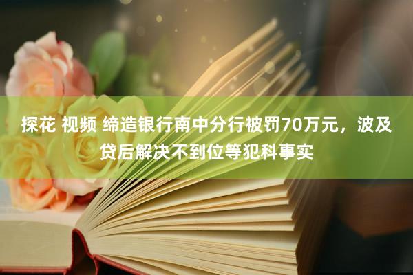 探花 视频 缔造银行南中分行被罚70万元，波及贷后解决不到位等犯科事实