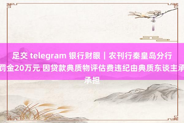 足交 telegram 银行财眼｜农刊行秦皇岛分行被罚金20万元 因贷款典质物评估费违纪由典质东谈主承担