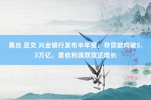 黑丝 足交 兴业银行发布半年报：存贷款均破5.3万亿，营收利润双双正增长