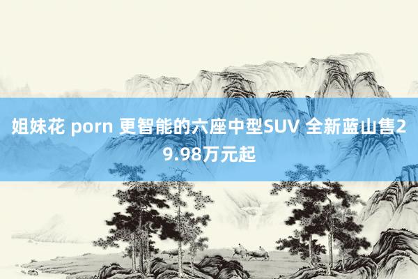 姐妹花 porn 更智能的六座中型SUV 全新蓝山售29.98万元起