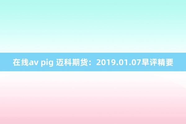 在线av pig 迈科期货：2019.01.07早评精要