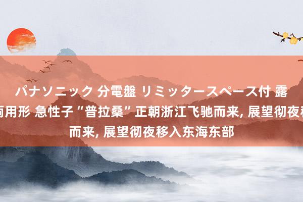 パナソニック 分電盤 リミッタースペース付 露出・半埋込両用形 急性子“普拉桑”正朝浙江飞驰而来， 展望彻夜移入东海东部