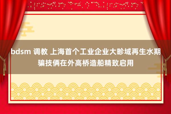 bdsm 调教 上海首个工业企业大畛域再生水期骗技俩在外高桥造船精致启用