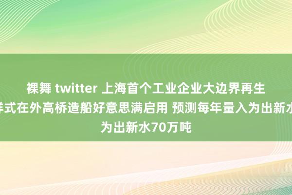 裸舞 twitter 上海首个工业企业大边界再生水诈欺样式在外高桥造船好意思满启用 预测每年量入为出新水70万吨