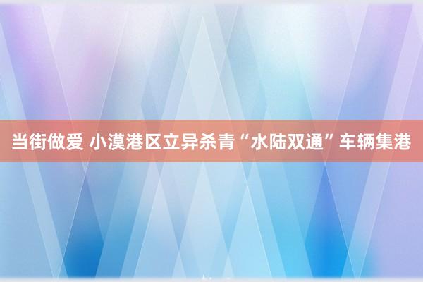 当街做爱 小漠港区立异杀青“水陆双通”车辆集港