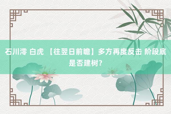 石川澪 白虎 【往翌日前瞻】多方再度反击 阶段底是否建树？