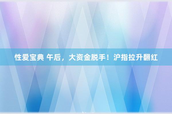 性爱宝典 午后，大资金脱手！沪指拉升翻红