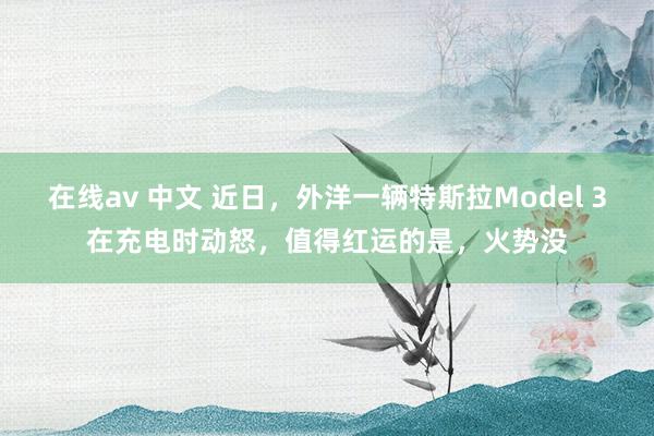 在线av 中文 近日，外洋一辆特斯拉Model 3在充电时动怒，值得红运的是，火势没