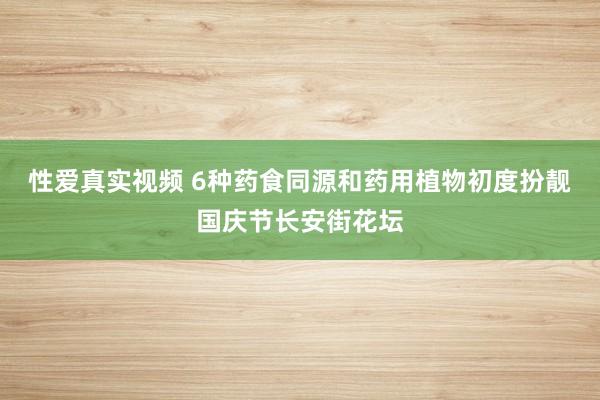 性爱真实视频 6种药食同源和药用植物初度扮靓国庆节长安街花坛