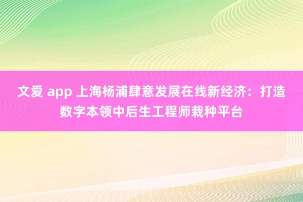 文爱 app 上海杨浦肆意发展在线新经济：打造数字本领中后生工程师栽种平台