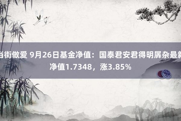 当街做爱 9月26日基金净值：国泰君安君得明羼杂最新净值1.7348，涨3.85%