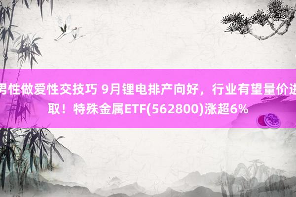 男性做爱性交技巧 9月锂电排产向好，行业有望量价进取！特殊金属ETF(562800)涨超6%