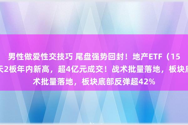 男性做爱性交技巧 尾盘强势回封！地产ETF（159707）摘获3天2板年内新高，超4亿元成交！战术批量落地，板块底部反弹超42%