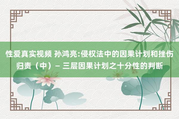 性爱真实视频 孙鸿亮:侵权法中的因果计划和挫伤归责（中）— 三层因果计划之十分性的判断