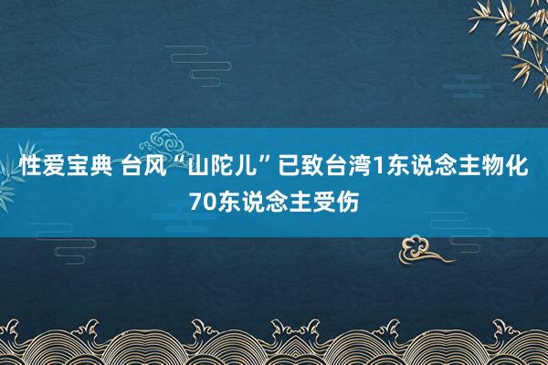 性爱宝典 台风“山陀儿”已致台湾1东说念主物化70东说念主受伤