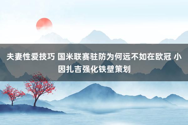 夫妻性爱技巧 国米联赛驻防为何远不如在欧冠 小因扎吉强化铁壁策划