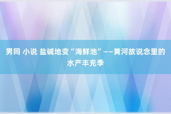 男同 小说 盐碱地变“海鲜池”——黄河故说念里的水产丰充季