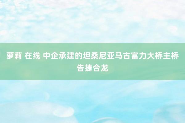 萝莉 在线 中企承建的坦桑尼亚马古富力大桥主桥告捷合龙