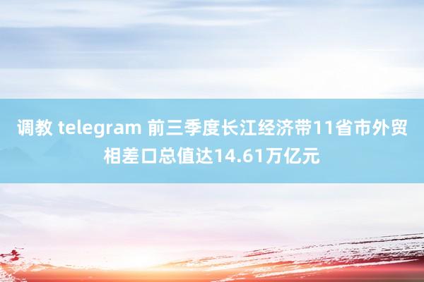 调教 telegram 前三季度长江经济带11省市外贸相差口总值达14.61万亿元