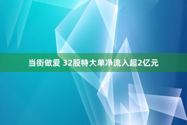 当街做爱 32股特大单净流入超2亿元