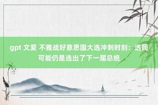 gpt 文爱 不雅战好意思国大选冲刺时刻：选民可能仍是选出了下一届总统