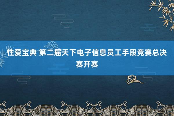 性爱宝典 第二届天下电子信息员工手段竞赛总决赛开赛