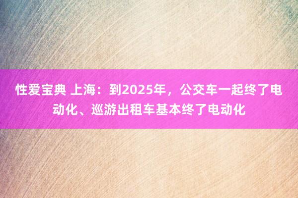 性爱宝典 上海：到2025年，公交车一起终了电动化、巡游出租车基本终了电动化