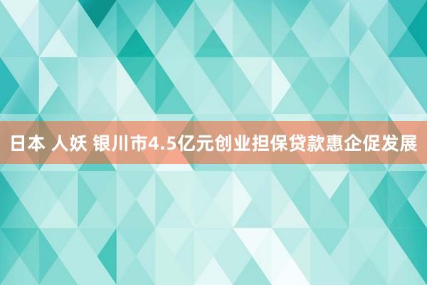 日本 人妖 银川市4.5亿元创业担保贷款惠企促发展