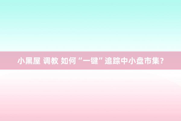 小黑屋 调教 如何“一键”追踪中小盘市集？