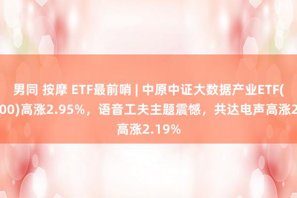 男同 按摩 ETF最前哨 | 中原中证大数据产业ETF(516000)高涨2.95%，语音工夫主题震憾，共达电声高涨2.19%