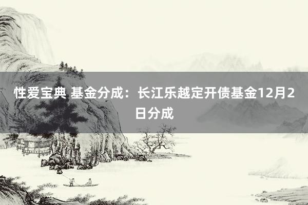 性爱宝典 基金分成：长江乐越定开债基金12月2日分成