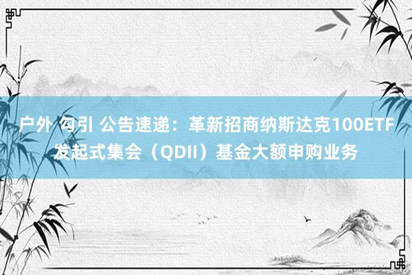 户外 勾引 公告速递：革新招商纳斯达克100ETF发起式集会（QDII）基金大额申购业务