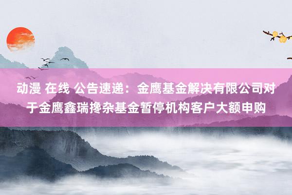 动漫 在线 公告速递：金鹰基金解决有限公司对于金鹰鑫瑞搀杂基金暂停机构客户大额申购