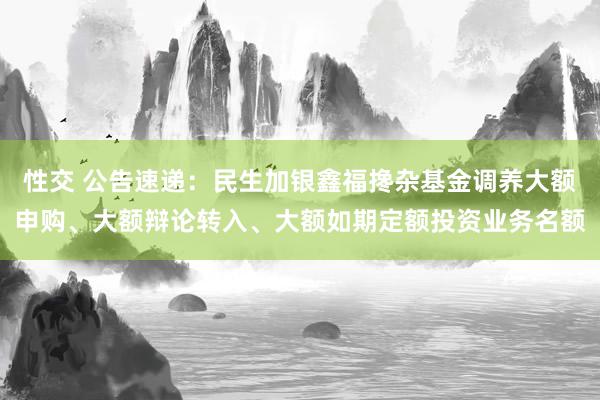 性交 公告速递：民生加银鑫福搀杂基金调养大额申购、大额辩论转入、大额如期定额投资业务名额