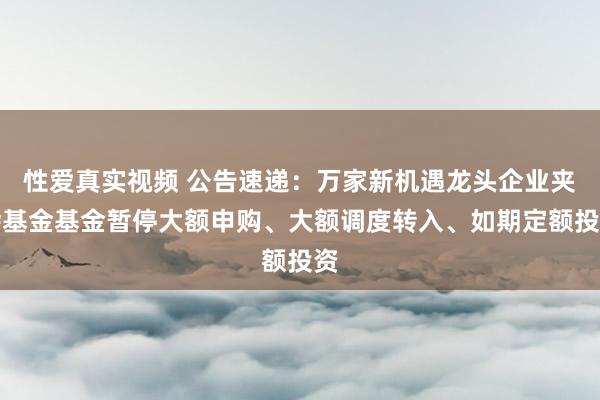 性爱真实视频 公告速递：万家新机遇龙头企业夹杂基金基金暂停大额申购、大额调度转入、如期定额投资