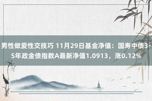 男性做爱性交技巧 11月29日基金净值：国寿中债3-5年政金债指数A最新净值1.0913，涨0.12%