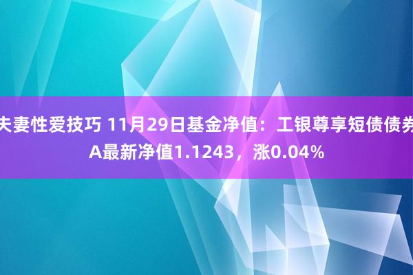 夫妻性爱技巧 11月29日基金净值：工银尊享短债债券A最新净值1.1243，涨0.04%