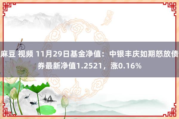 麻豆 视频 11月29日基金净值：中银丰庆如期怒放债券最新净值1.2521，涨0.16%