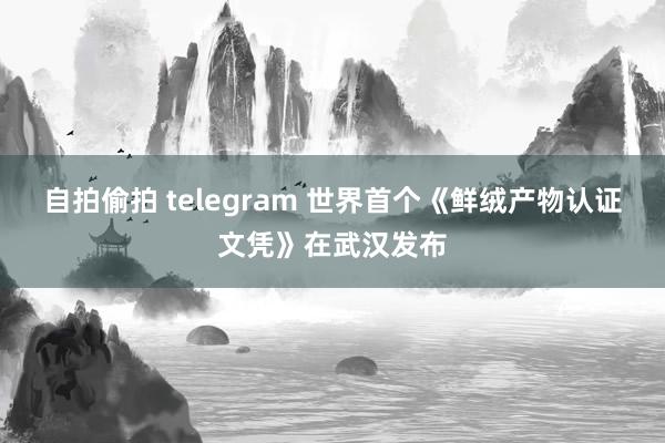 自拍偷拍 telegram 世界首个《鲜绒产物认证文凭》在武汉发布