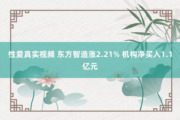 性爱真实视频 东方智造涨2.21% 机构净买入1.1亿元