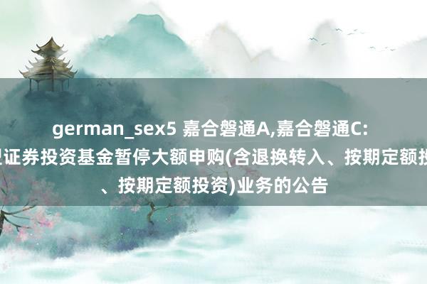 german_sex5 嘉合磐通A，嘉合磐通C: 嘉合磐通债券型证券投资基金暂停大额申购(含退换转入、按期定额投资)业务的公告