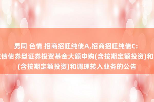 男同 色情 招商招旺纯债A，招商招旺纯债C: 对于诊疗招商招旺纯债债券型证券投资基金大额申购(含按期定额投资)和调理转入业务的公告