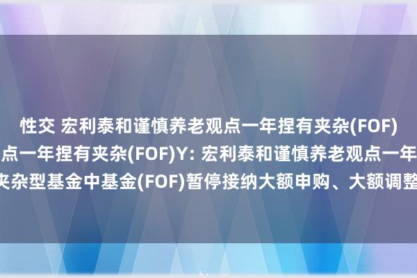 性交 宏利泰和谨慎养老观点一年捏有夹杂(FOF)A，宏利泰和谨慎养老观点一年捏有夹杂(FOF)Y: 宏利泰和谨慎养老观点一年捏有期夹杂型基金中基金(FOF)暂停接纳大额申购、大额调整转入及大额如期定额投资业务的公告