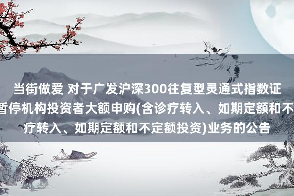 当街做爱 对于广发沪深300往复型灵通式指数证券投资基金齐集基金暂停机构投资者大额申购(含诊疗转入、如期定额和不定额投资)业务的公告