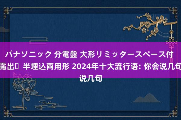 パナソニック 分電盤 大形リミッタースペース付 露出・半埋込両用形 2024年十大流行语: 你会说几句