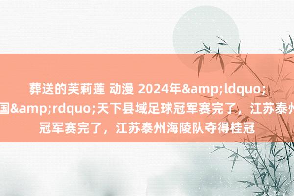 葬送的芙莉莲 动漫 2024年&ldquo;全民健身 健康中国&rdquo;天下县域足球冠军赛完了，江苏泰州海陵队夺得桂冠