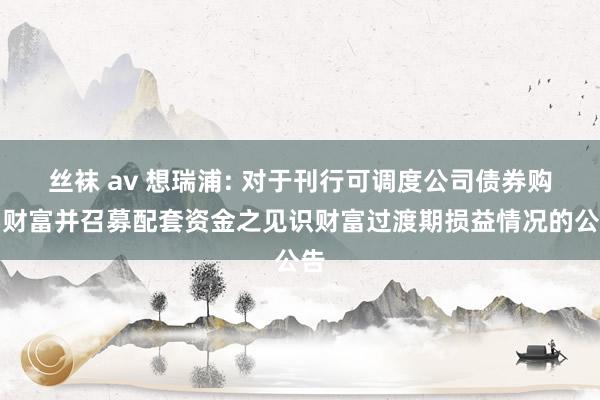 丝袜 av 想瑞浦: 对于刊行可调度公司债券购买财富并召募配套资金之见识财富过渡期损益情况的公告