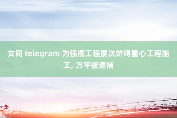 女同 telegram 为强揽工程屡次妨碍重心工程施工， 方平被逮捕