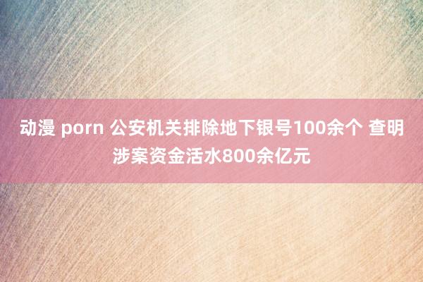 动漫 porn 公安机关排除地下银号100余个 查明涉案资金活水800余亿元